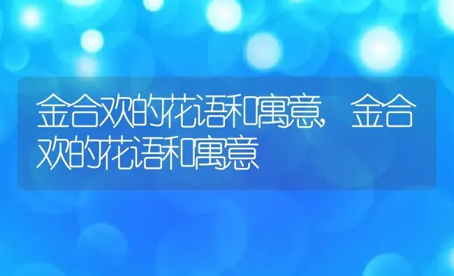 金合欢的花语和寓意,金合欢的花语和寓意 | 养殖常见问题