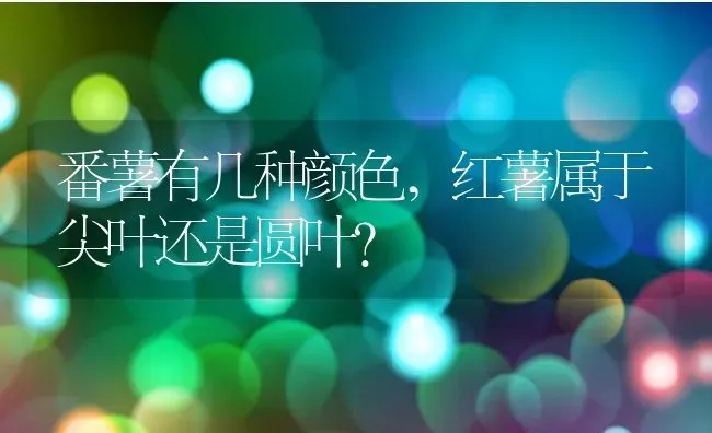 番薯有几种颜色,红薯属于尖叶还是圆叶？ | 养殖常见问题