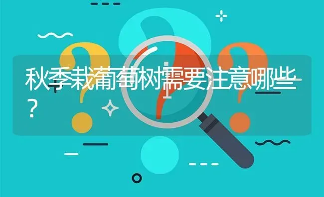 秋季栽葡萄树需要注意哪些? | 养殖问题解答