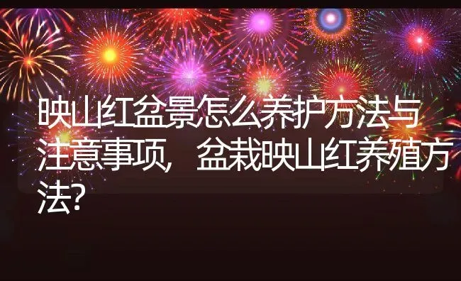 映山红盆景怎么养护方法与注意事项,盆栽映山红养殖方法？ | 养殖常见问题