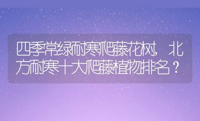四季常绿耐寒爬藤花树,北方耐寒十大爬藤植物排名？ | 养殖常见问题