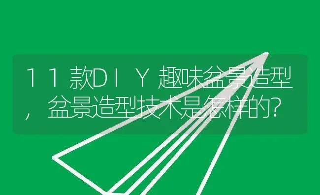 11款DIY趣味盆景造型,盆景造型技术是怎样的？ | 养殖常见问题