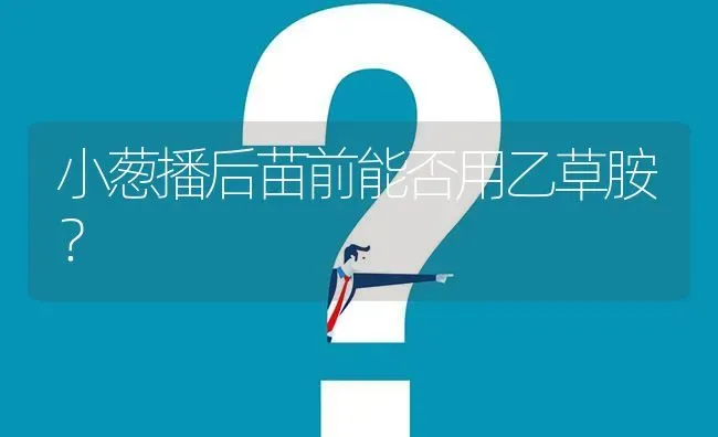 小葱播后苗前能否用乙草胺? | 养殖问题解答