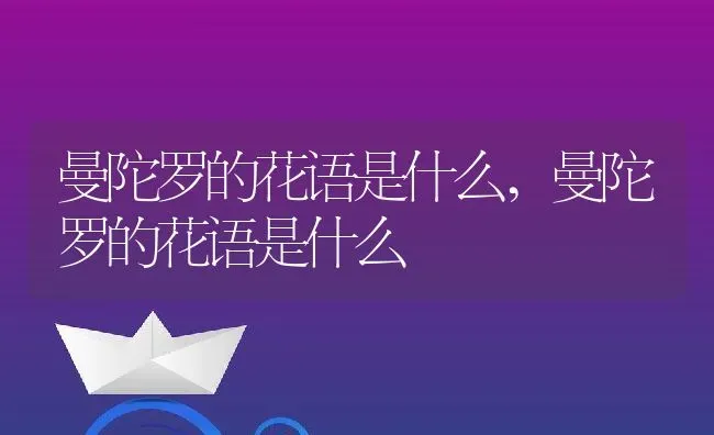 曼陀罗的花语是什么,曼陀罗的花语是什么 | 养殖常见问题