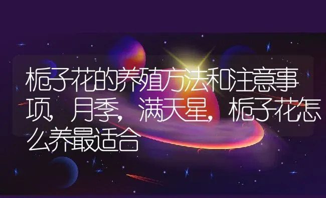 栀子花的养殖方法和注意事项,月季，满天星，栀子花怎么养最适合 | 养殖常见问题