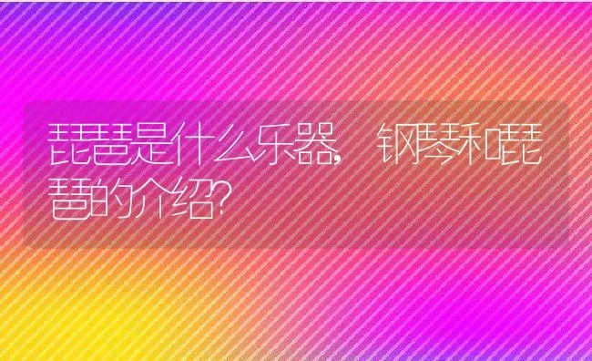 琵琶是什么乐器,钢琴和琵琶的介绍？ | 养殖常见问题