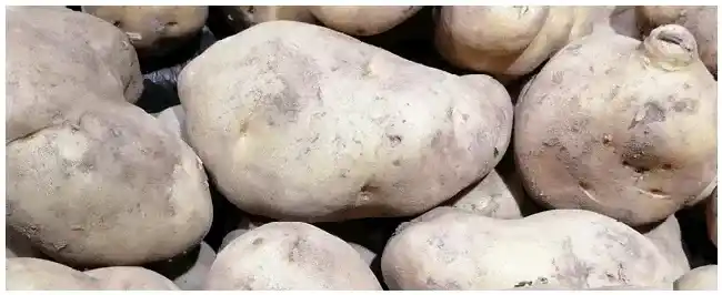 土豆保存方法 | 农业问题