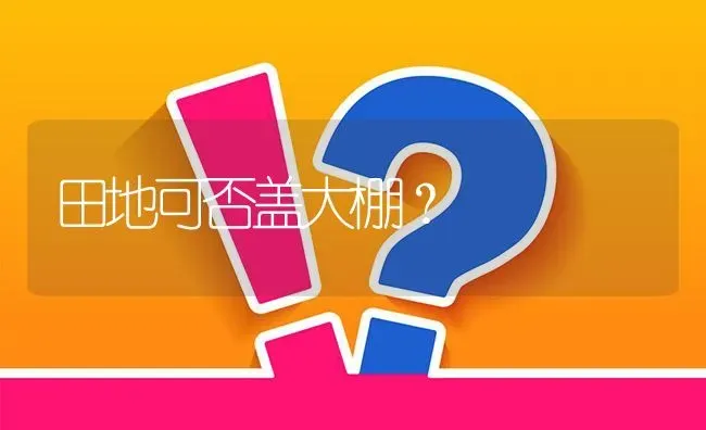 田地可否盖大棚? | 养殖问题解答