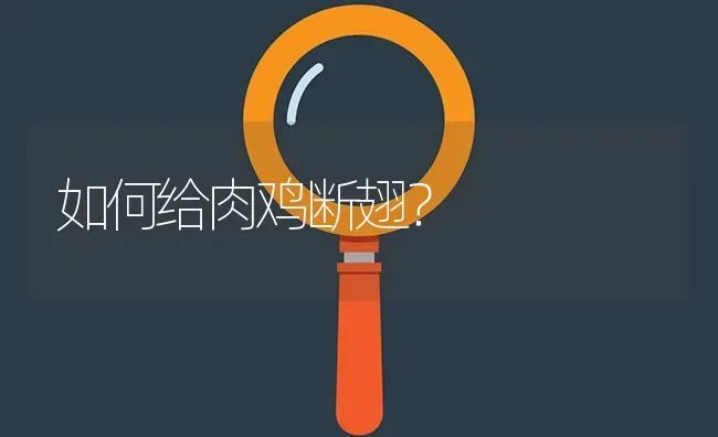 如何给肉鸡断翅? | 养殖问题解答