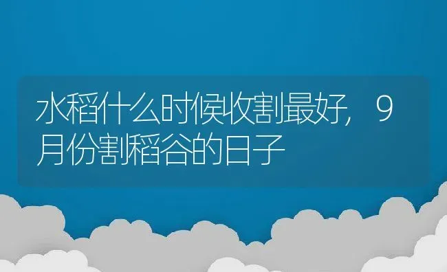 水稻什么时候收割最好,9月份割稻谷的日子 | 养殖常见问题