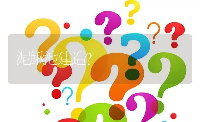 泥鳅池建造? | 养殖问题解答