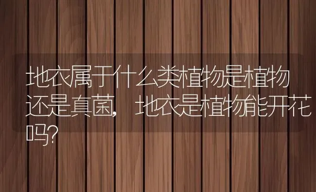 地衣属于什么类植物是植物还是真菌,地衣是植物能开花吗？ | 养殖常见问题