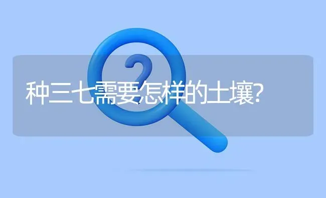 种三七需要怎样的土壤? | 养殖问题解答