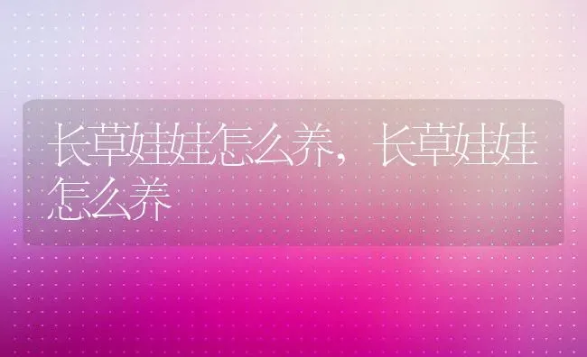 长草娃娃怎么养,长草娃娃怎么养 | 养殖常见问题