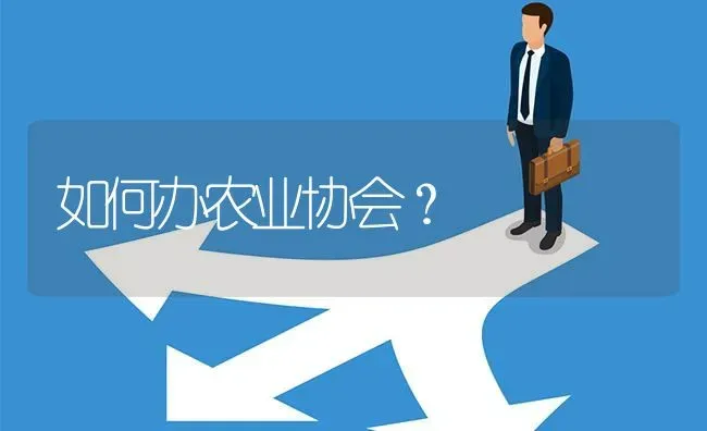 如何办农业协会? | 养殖问题解答