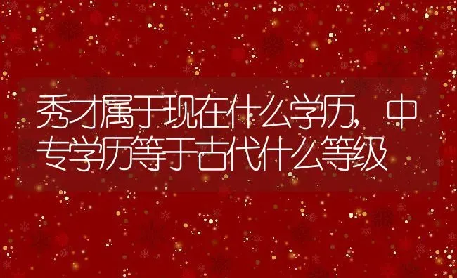 秀才属于现在什么学历,中专学历等于古代什么等级 | 养殖常见问题