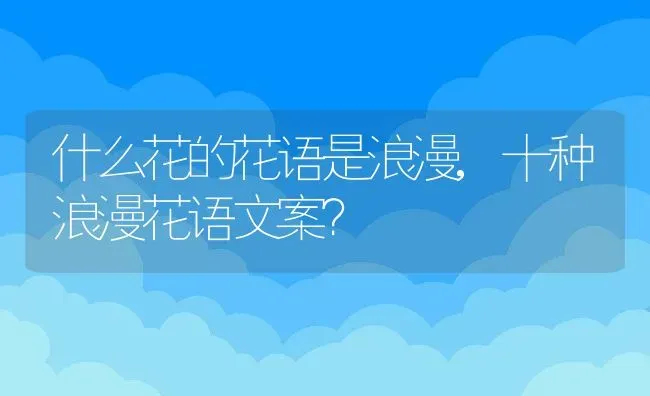 什么花的花语是浪漫,十种浪漫花语文案？ | 养殖常见问题