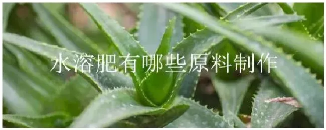 水溶肥有哪些原料制作 | 农业常识