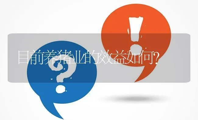 目前养猪业的效益如何? | 养殖问题解答