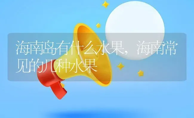 海南岛有什么水果,海南常见的几种水果 | 养殖常见问题