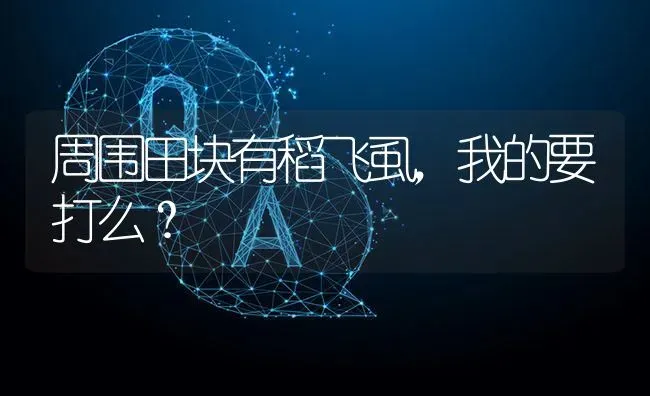 周围田块有稻飞虱,我的要打么? | 养殖问题解答