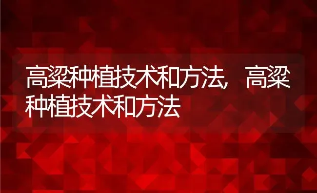 高粱种植技术和方法,高粱种植技术和方法 | 养殖常见问题