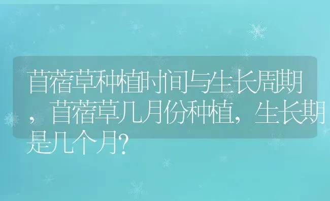 苜蓿草种植时间与生长周期,苜蓿草几月份种植，生长期是几个月？ | 养殖常见问题