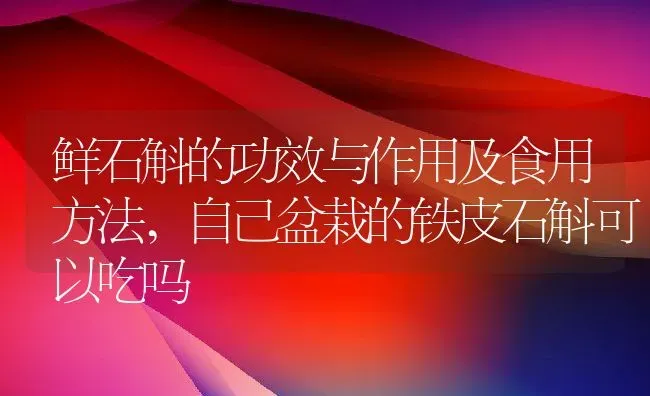 鲜石斛的功效与作用及食用方法,自己盆栽的铁皮石斛可以吃吗 | 养殖常见问题