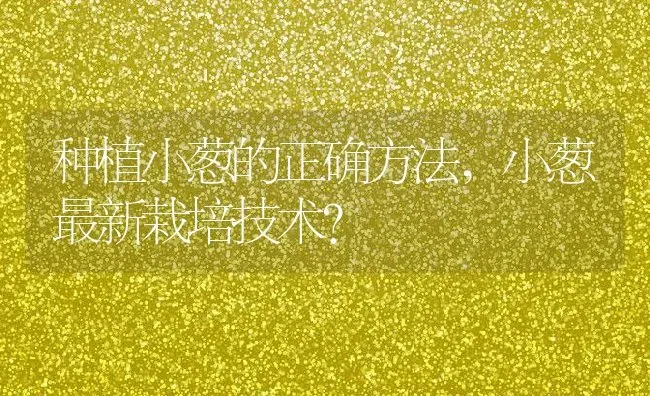 种植小葱的正确方法,小葱最新栽培技术？ | 养殖常见问题