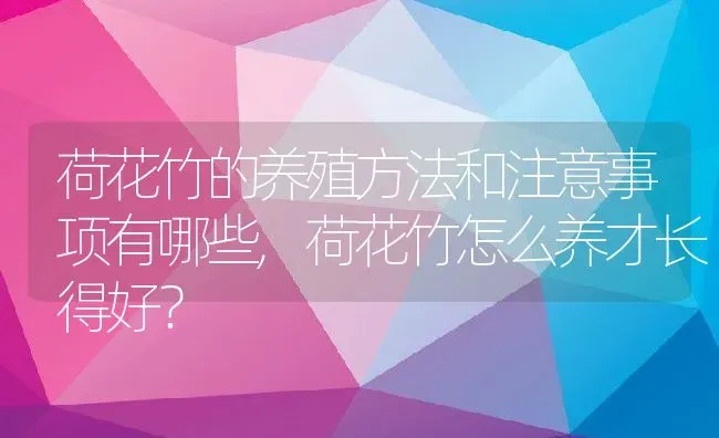 荷花竹的养殖方法和注意事项有哪些,荷花竹怎么养才长得好？ | 养殖常见问题