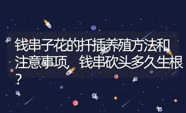 钱串子花的扦插养殖方法和注意事项,钱串砍头多久生根？ | 养殖常见问题