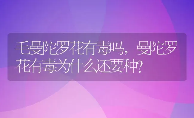 毛曼陀罗花有毒吗,曼陀罗花有毒为什么还要种？ | 养殖常见问题