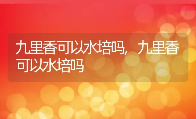 九里香可以水培吗,九里香可以水培吗 | 养殖常见问题