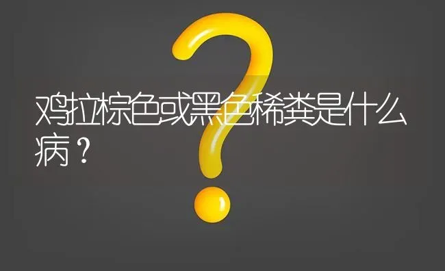鸡拉棕色或黑色稀粪是什么病? | 养殖问题解答