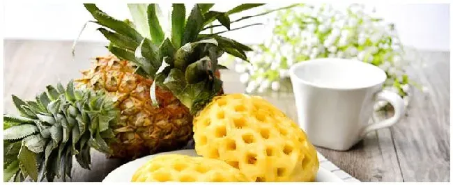菠萝盆栽种植方法 | 科普知识