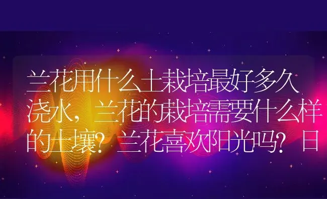 兰花用什么土栽培最好多久浇水,兰花的栽培需要什么样的土壤？兰花喜欢阳光吗？日常浇水怎么浇？ | 养殖常见问题