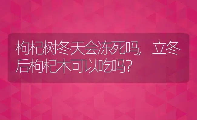 枸杞树冬天会冻死吗,立冬后枸杞木可以吃吗？ | 养殖常见问题