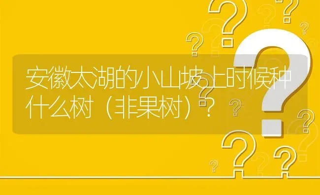 安徽太湖的小山坡上时候种什么树(非果树) | 养殖问题解答