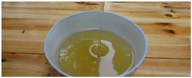 蜂蜜水为什么越喝越胖 | 农业常识