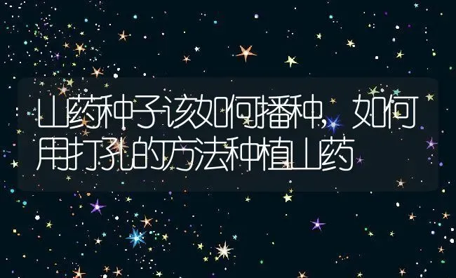 山药种子该如何播种,如何用打孔的方法种植山药 | 养殖常见问题