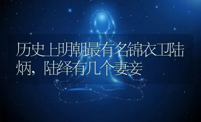 历史上明朝最有名锦衣卫陆炳,陆绎有几个妻妾 | 养殖常见问题