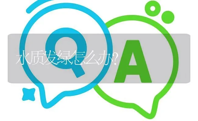 水质发绿怎么办? | 养殖问题解答