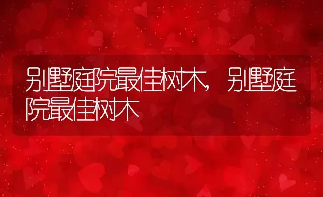 别墅庭院最佳树木,别墅庭院最佳树木 | 养殖常见问题