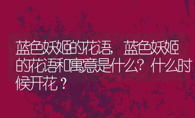 蓝色妖姬的花语,蓝色妖姬的花语和寓意是什么?什么时候开花？ | 养殖常见问题