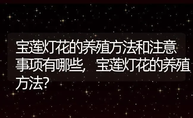 宝莲灯花的养殖方法和注意事项有哪些,宝莲灯花的养殖方法？ | 养殖常见问题