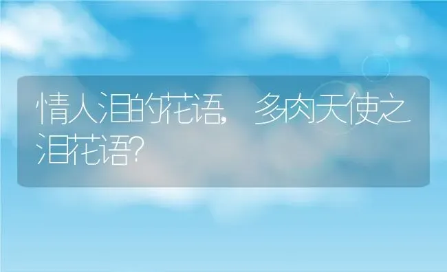 情人泪的花语,多肉天使之泪花语？ | 养殖常见问题