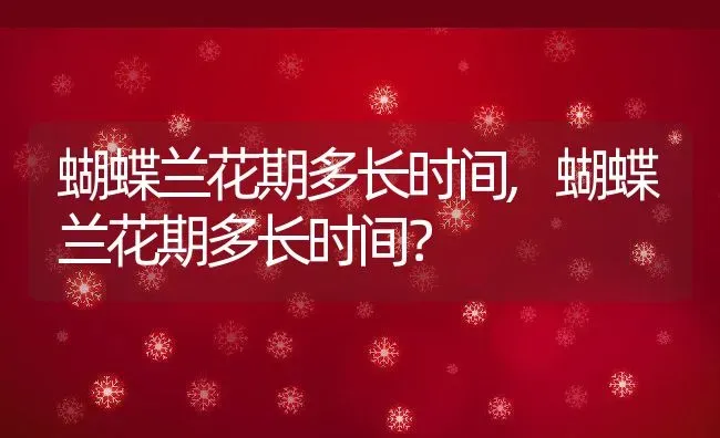 蝴蝶兰花期多长时间,蝴蝶兰花期多长时间？ | 养殖常见问题