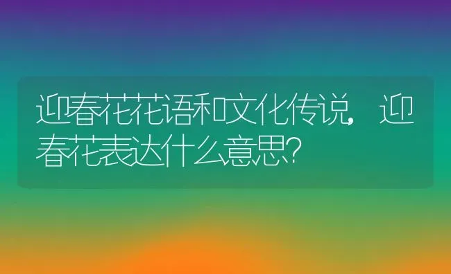 迎春花花语和文化传说,迎春花表达什么意思？ | 养殖常见问题