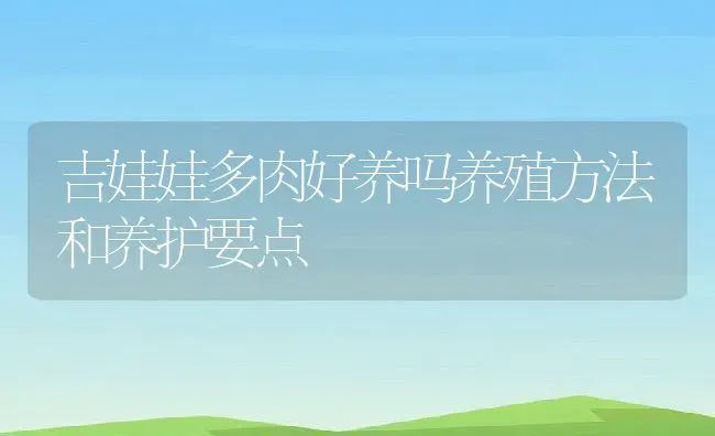 吉娃娃多肉好养吗养殖方法和养护要点 | 养殖常见问题