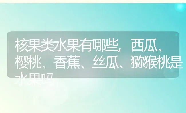 核果类水果有哪些,西瓜、樱桃、香蕉、丝瓜、猕猴桃是水果吗 | 养殖常见问题